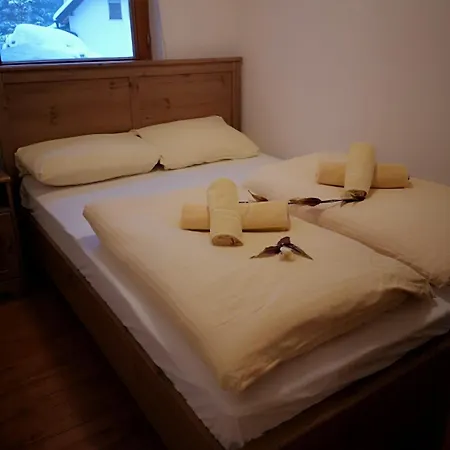 Alpha Camp 宾馆 亚霍里纳